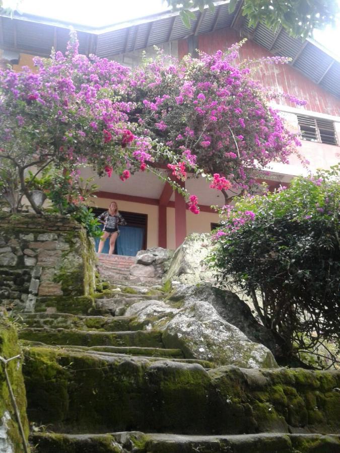 Reggae Guest House トゥクトゥク エクステリア 写真